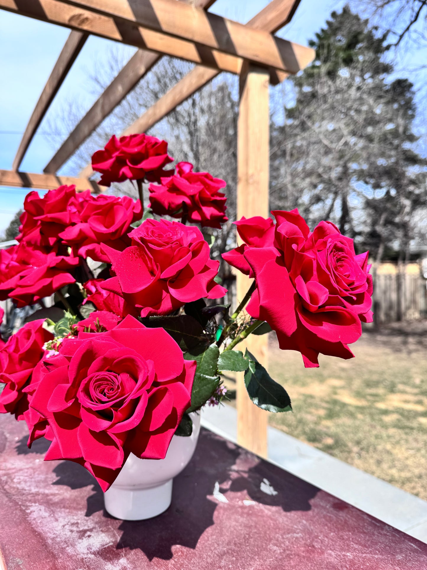 Rosé All Day Arrangement