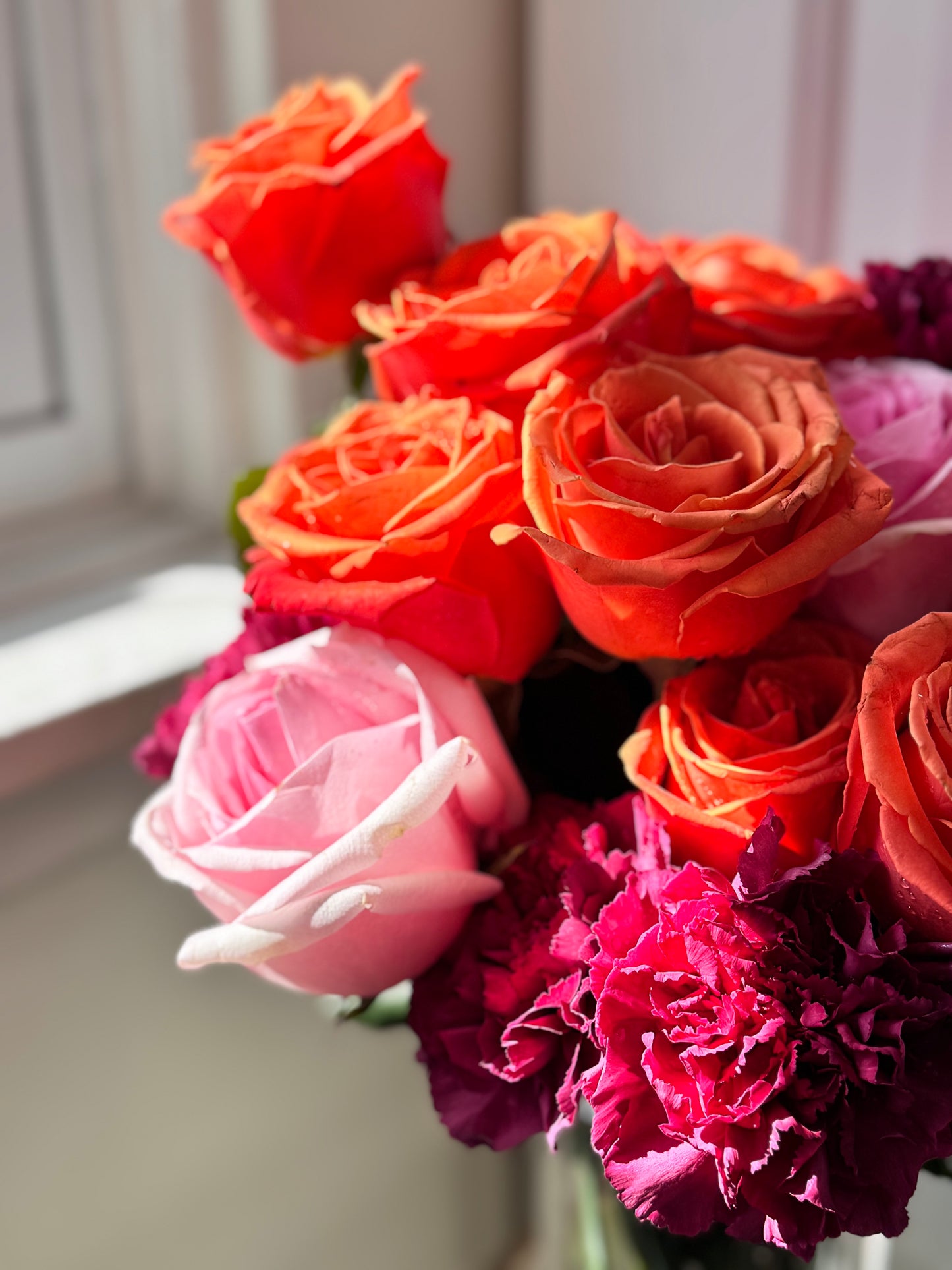 Blood Orange Sangria