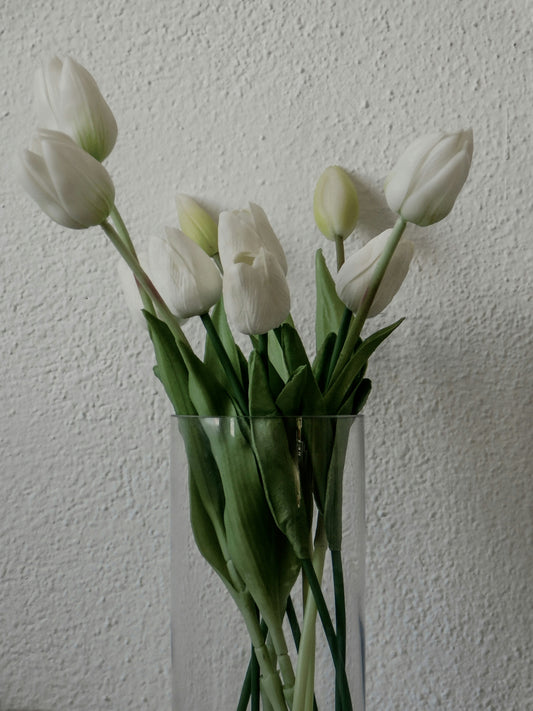 Tulips